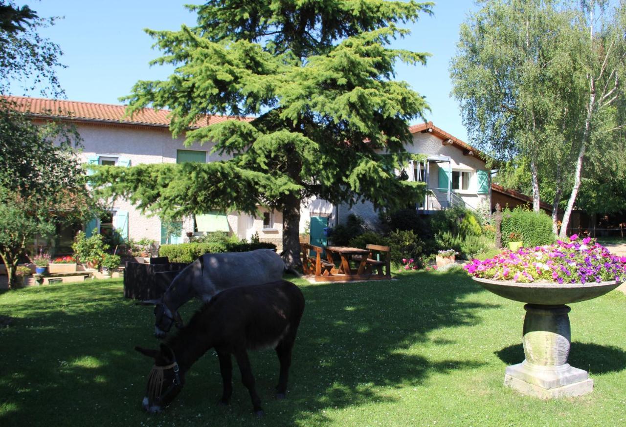 Bed and Breakfast La Ferme De Capucine Culhat Екстер'єр фото